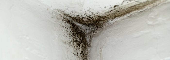 Come Eliminare la Muffa dai Muri di Casa in modo Semplice e Veloce